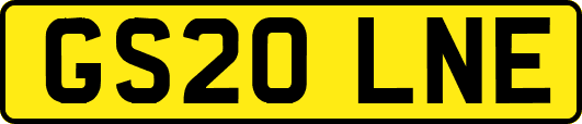 GS20LNE
