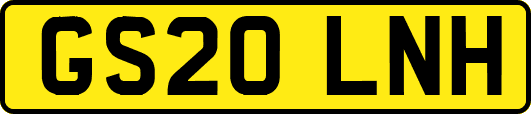 GS20LNH