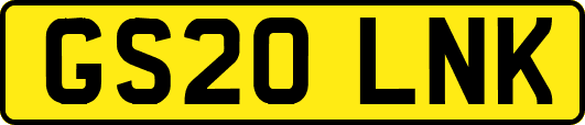 GS20LNK