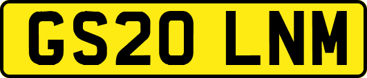GS20LNM