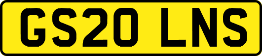 GS20LNS