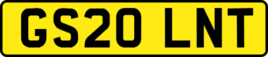 GS20LNT