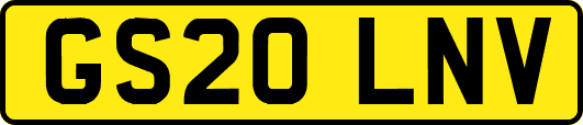 GS20LNV