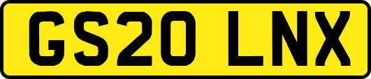 GS20LNX