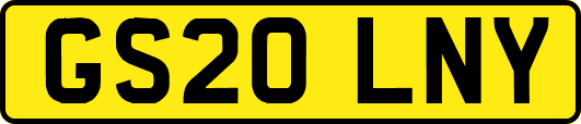 GS20LNY