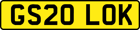 GS20LOK