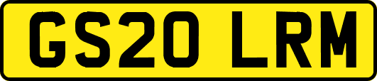 GS20LRM