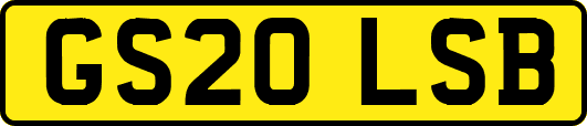 GS20LSB