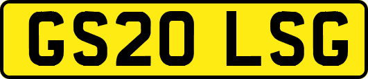 GS20LSG
