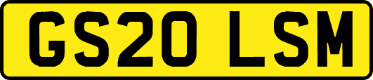 GS20LSM