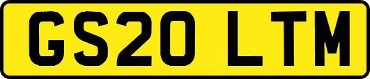 GS20LTM