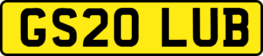 GS20LUB