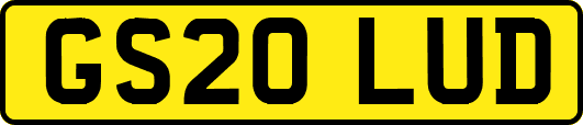 GS20LUD