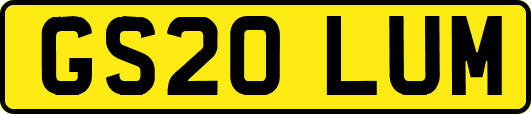 GS20LUM