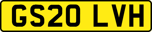 GS20LVH