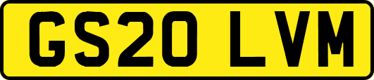 GS20LVM