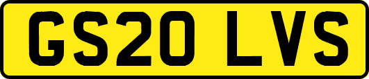 GS20LVS