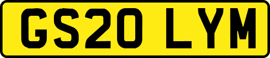 GS20LYM