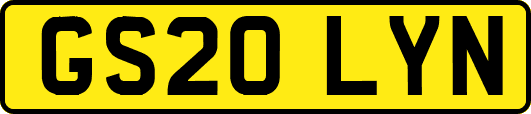 GS20LYN