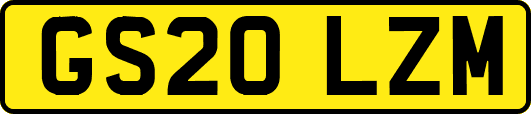 GS20LZM