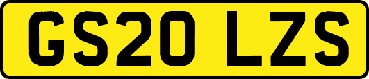 GS20LZS