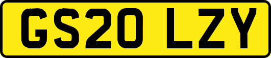 GS20LZY