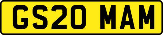 GS20MAM