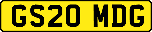 GS20MDG