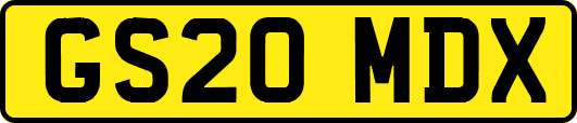 GS20MDX