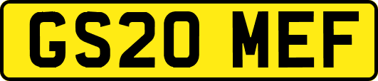 GS20MEF