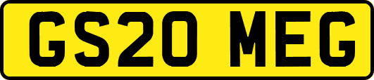 GS20MEG