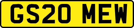 GS20MEW