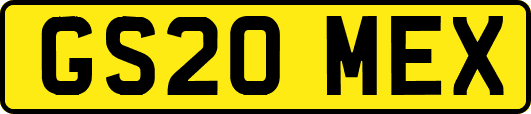 GS20MEX