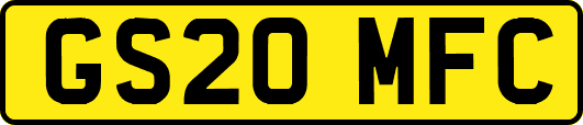 GS20MFC