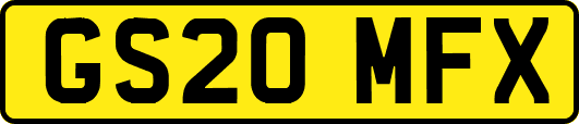 GS20MFX