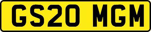 GS20MGM