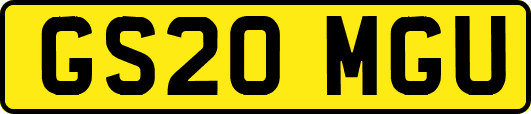 GS20MGU