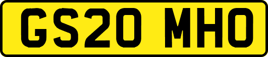 GS20MHO