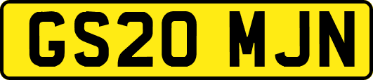 GS20MJN