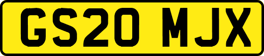 GS20MJX
