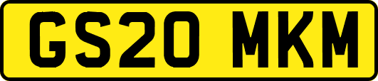 GS20MKM