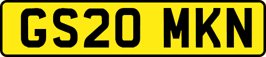 GS20MKN