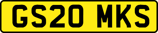 GS20MKS