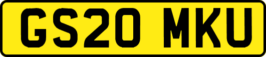 GS20MKU