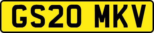 GS20MKV