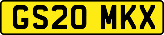 GS20MKX