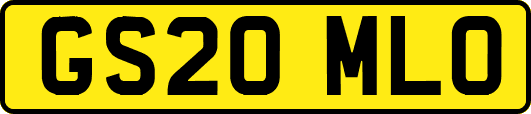 GS20MLO