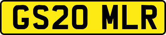 GS20MLR