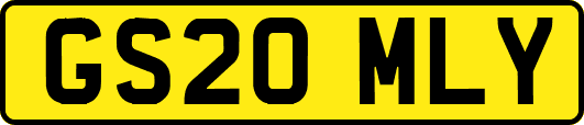 GS20MLY