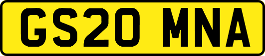 GS20MNA